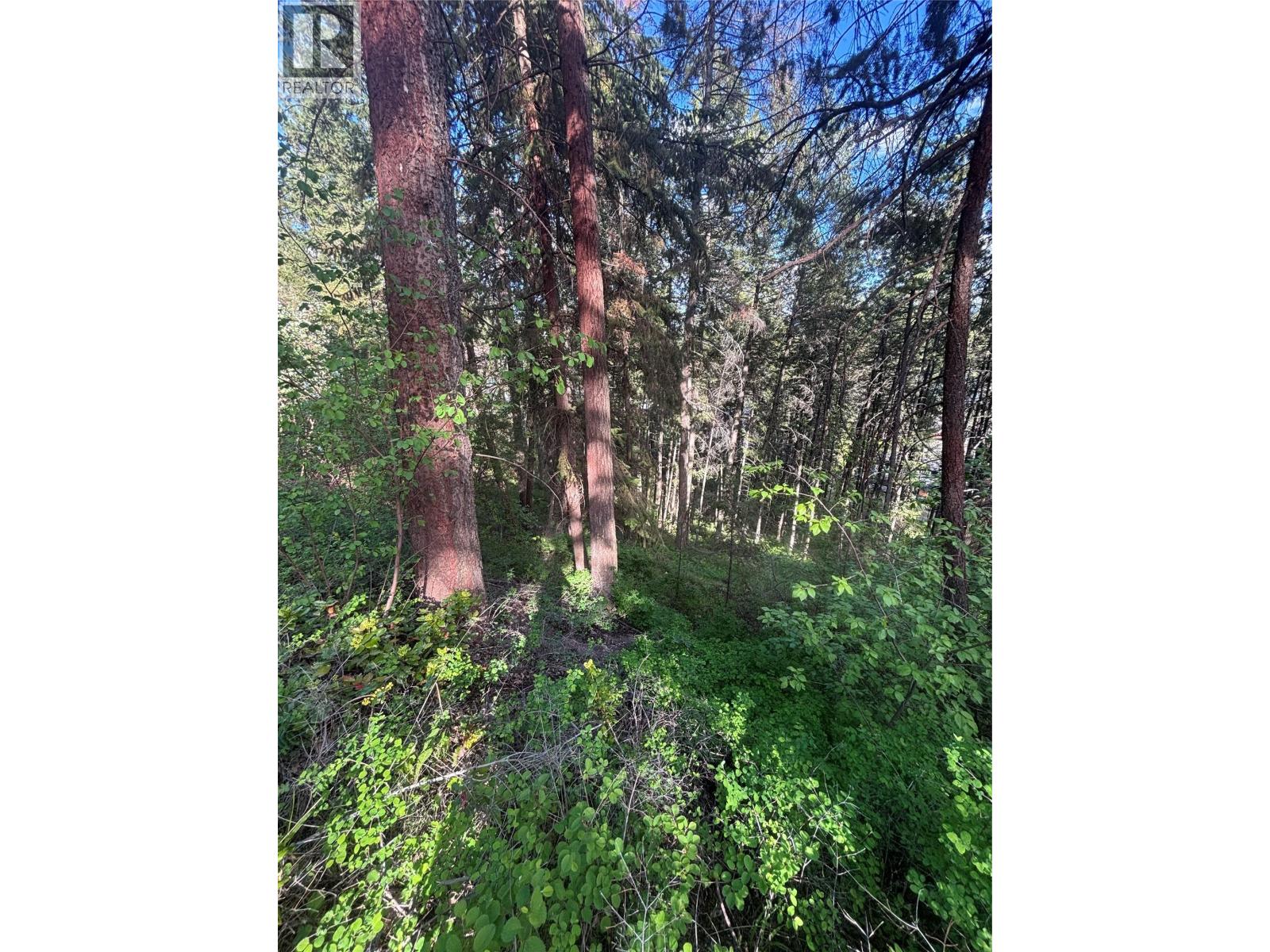 9505 Keithley Road Lot# 143, Vernon, British Columbia  V1H 2E5 - Photo 5 - 10384673
