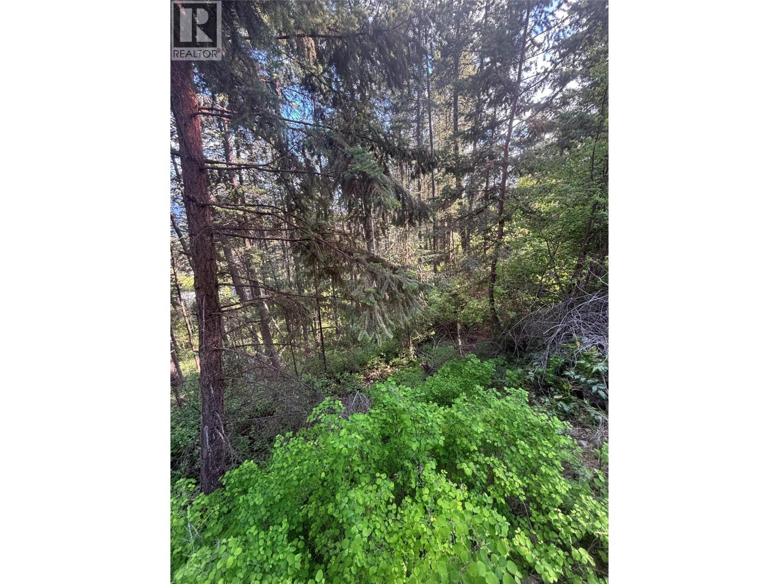 9505 Keithley Road Lot# 143, Vernon, British Columbia  V1H 2E5 - Photo 8 - 10384673