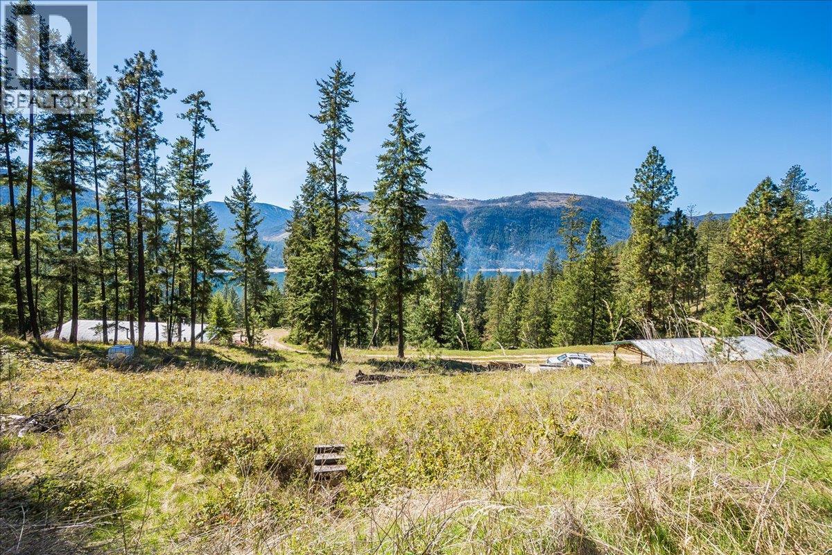 7465 Broadwater Road, Castlegar, British Columbia  V1N 4V8 - Photo 64 - 10384692