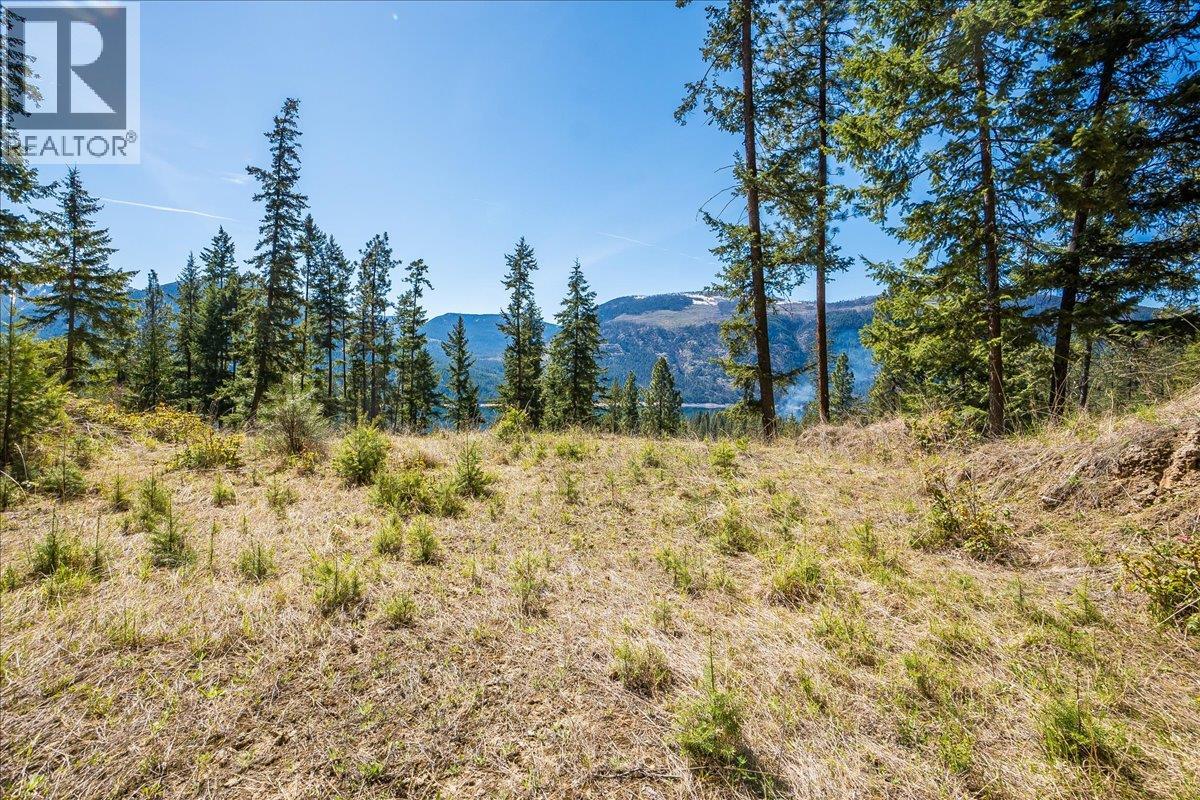 7465 Broadwater Road, Castlegar, British Columbia  V1N 4V8 - Photo 73 - 10384692