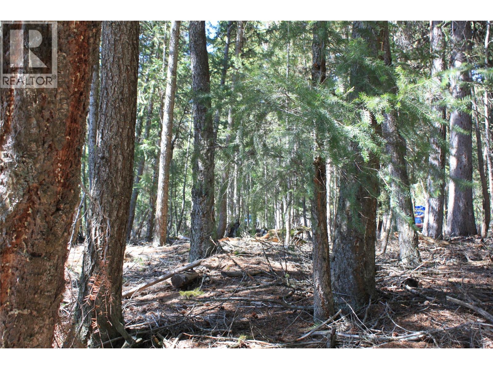 4209 Princeton Summerland Road, Princeton, British Columbia  V0X 1W0 - Photo 18 - 10385038