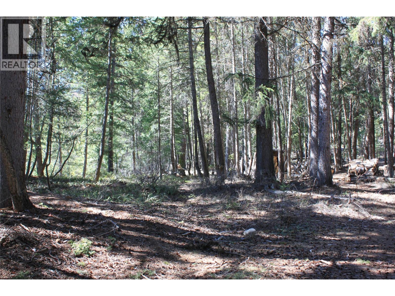 4209 Princeton Summerland Road, Princeton, British Columbia  V0X 1W0 - Photo 21 - 10385038
