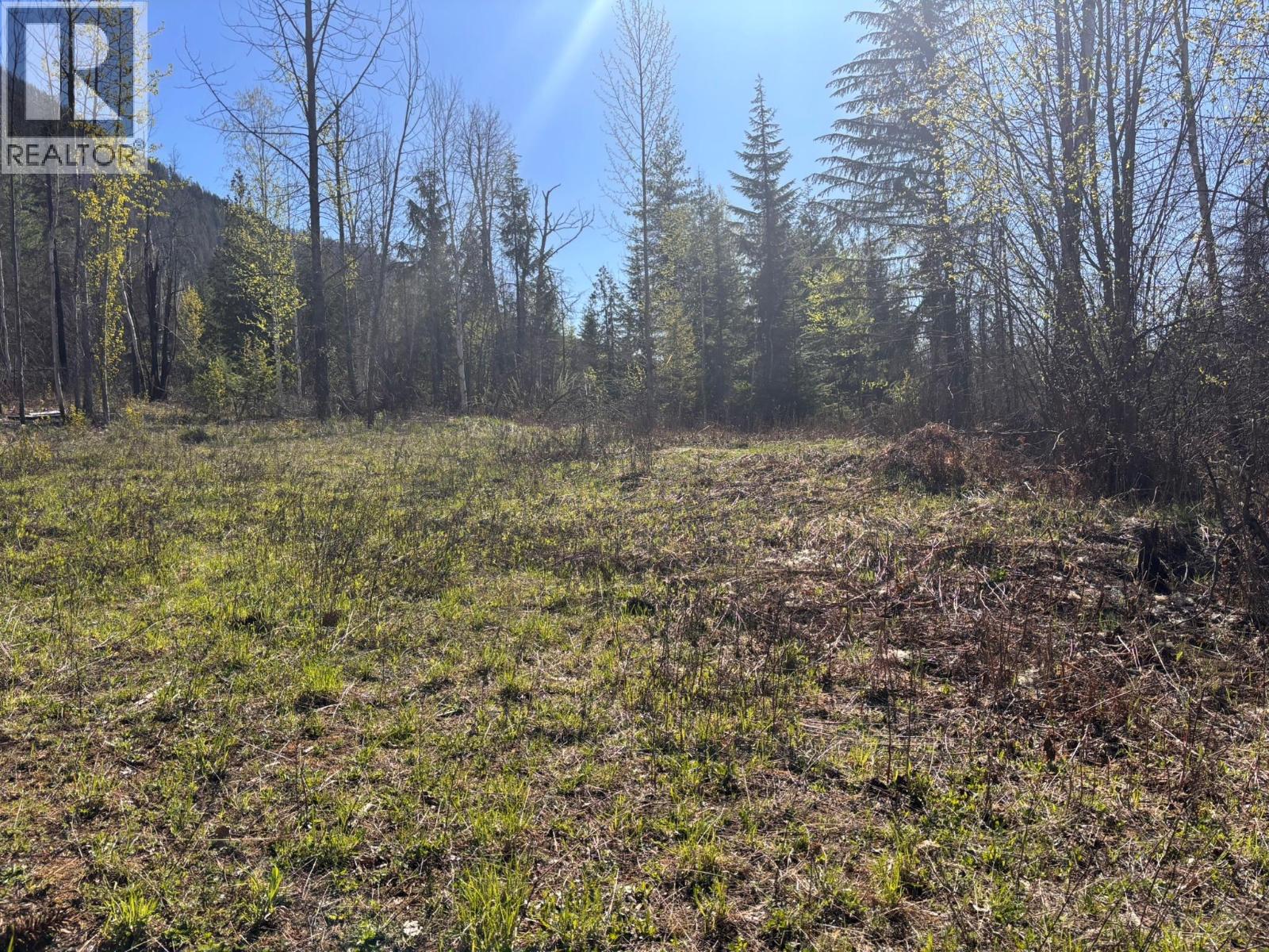 4095 Meadow Creek Road, Celista, British Columbia  V0E 1M6 - Photo 10 - 10385086