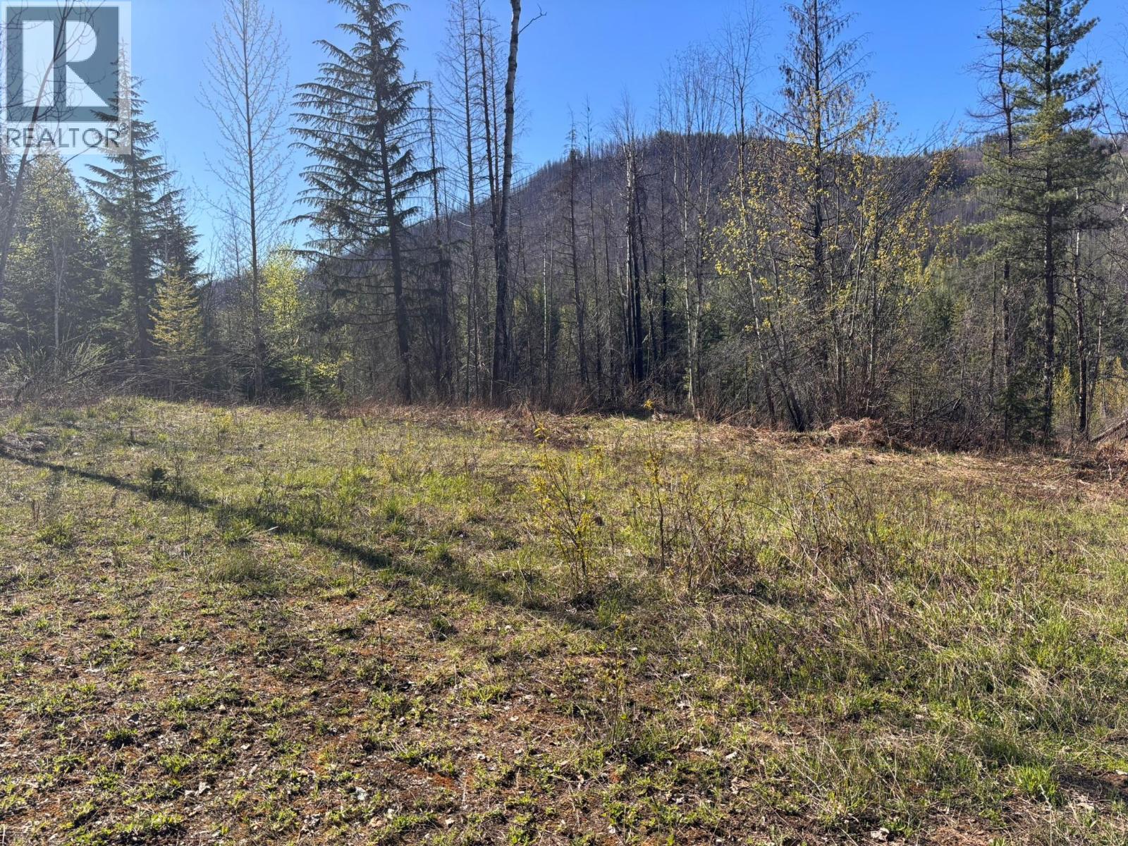 4095 Meadow Creek Road, Celista, British Columbia  V0E 1M6 - Photo 11 - 10385086