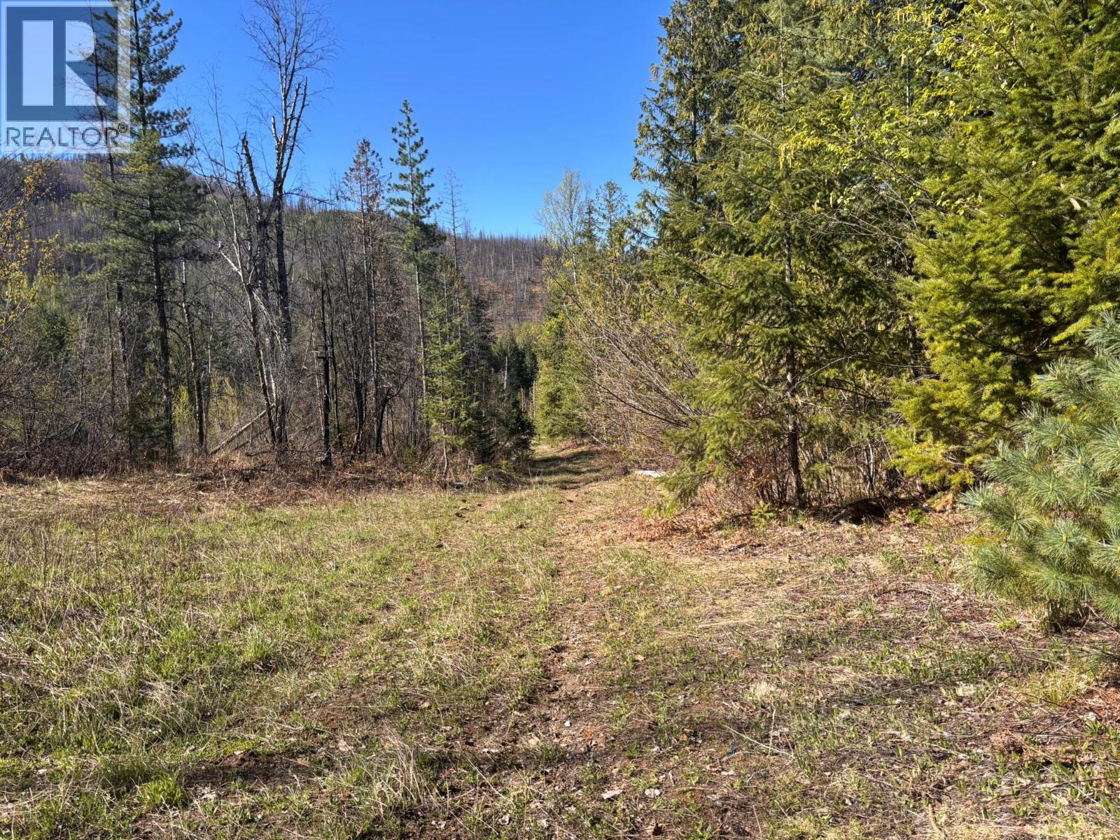 4095 Meadow Creek Road, Celista, British Columbia  V0E 1M6 - Photo 12 - 10385086
