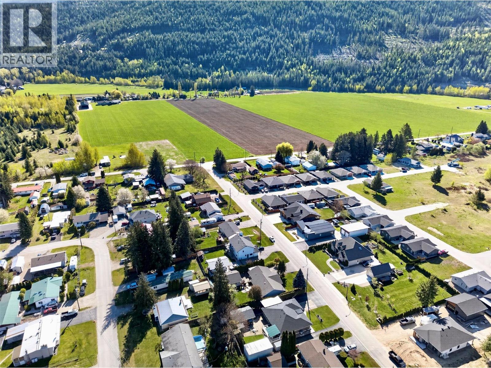 730 Parksville Street, Sicamous, British Columbia  V0E 2V0 - Photo 8 - 10384947