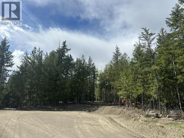 2305 Lions Ridge Road Lot# Pl 10, Celista, British Columbia  V1Y 5J4 - Photo 22 - 10385115