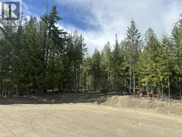 2305 Lions Ridge Road Lot# Pl 10, Celista, British Columbia  V1Y 5J4 - Photo 25 - 10385115