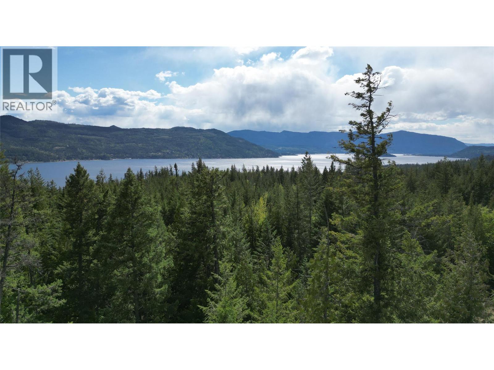 2305 Lions Ridge Road Lot# Pl 10, Celista, British Columbia  V1Y 5J4 - Photo 6 - 10385115