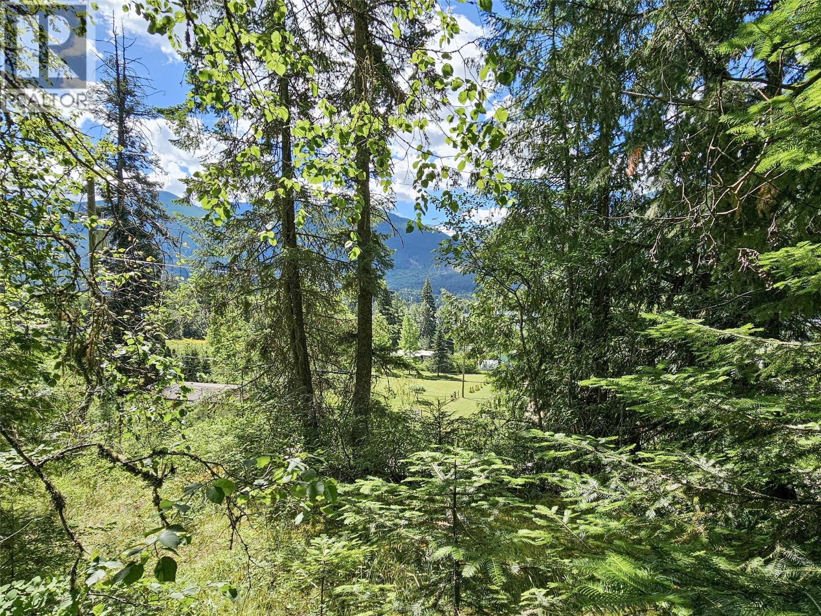 Lot 1 Longbeach Road, Nelson, British Columbia  V1L 6P2 - Photo 10 - 10385069
