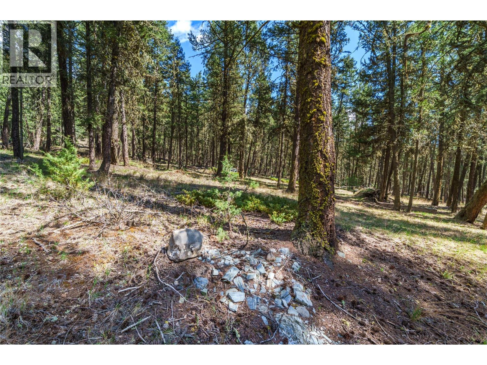 6696 Cariboo Highway 97, Clinton, British Columbia  V0K 1K0 - Photo 15 - 10385218