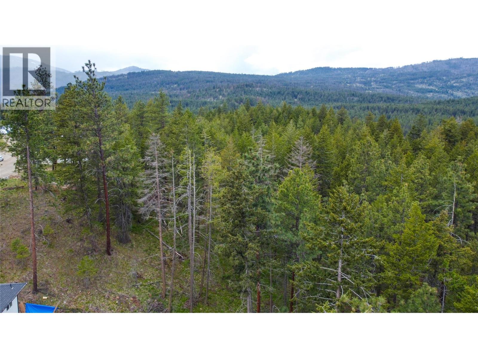 550 Muir Road, Kelowna, British Columbia  V1Z 3W1 - Photo 12 - 10384768
