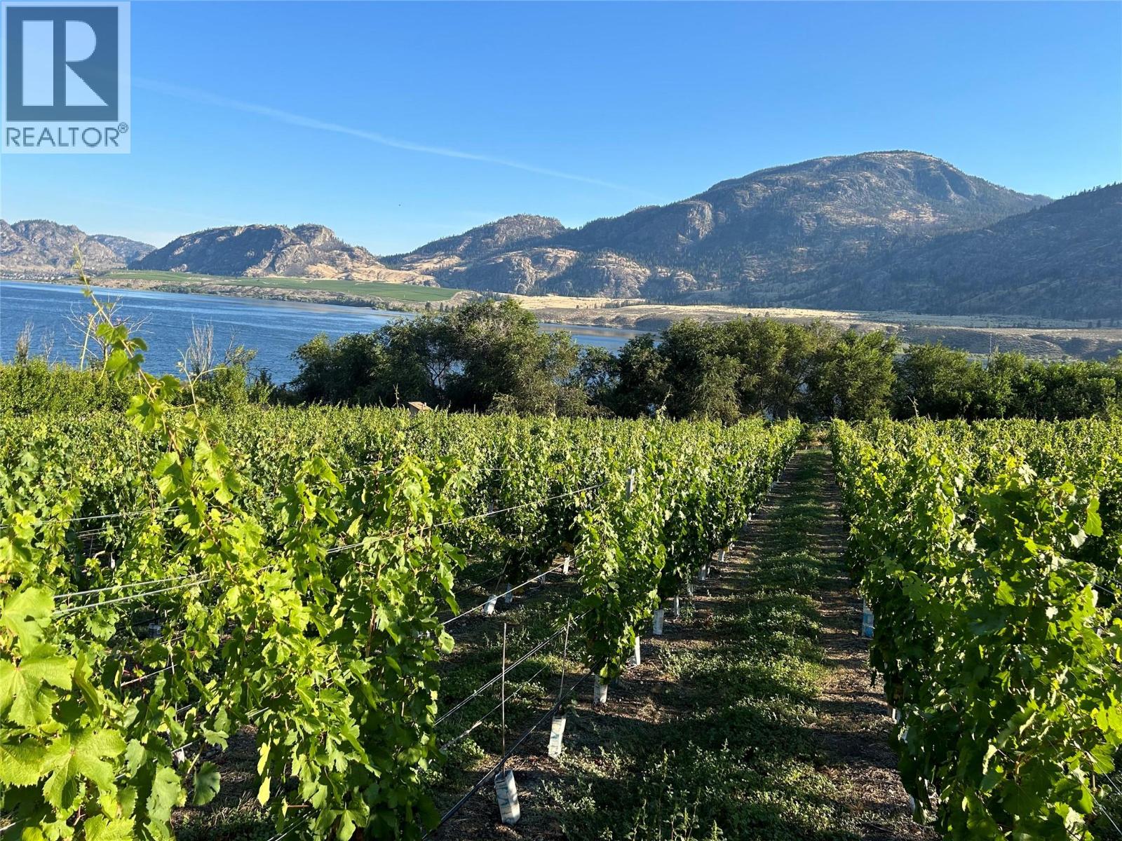 9425 87th Street, Osoyoos, British Columbia  V0H 1V0 - Photo 10 - 10384698