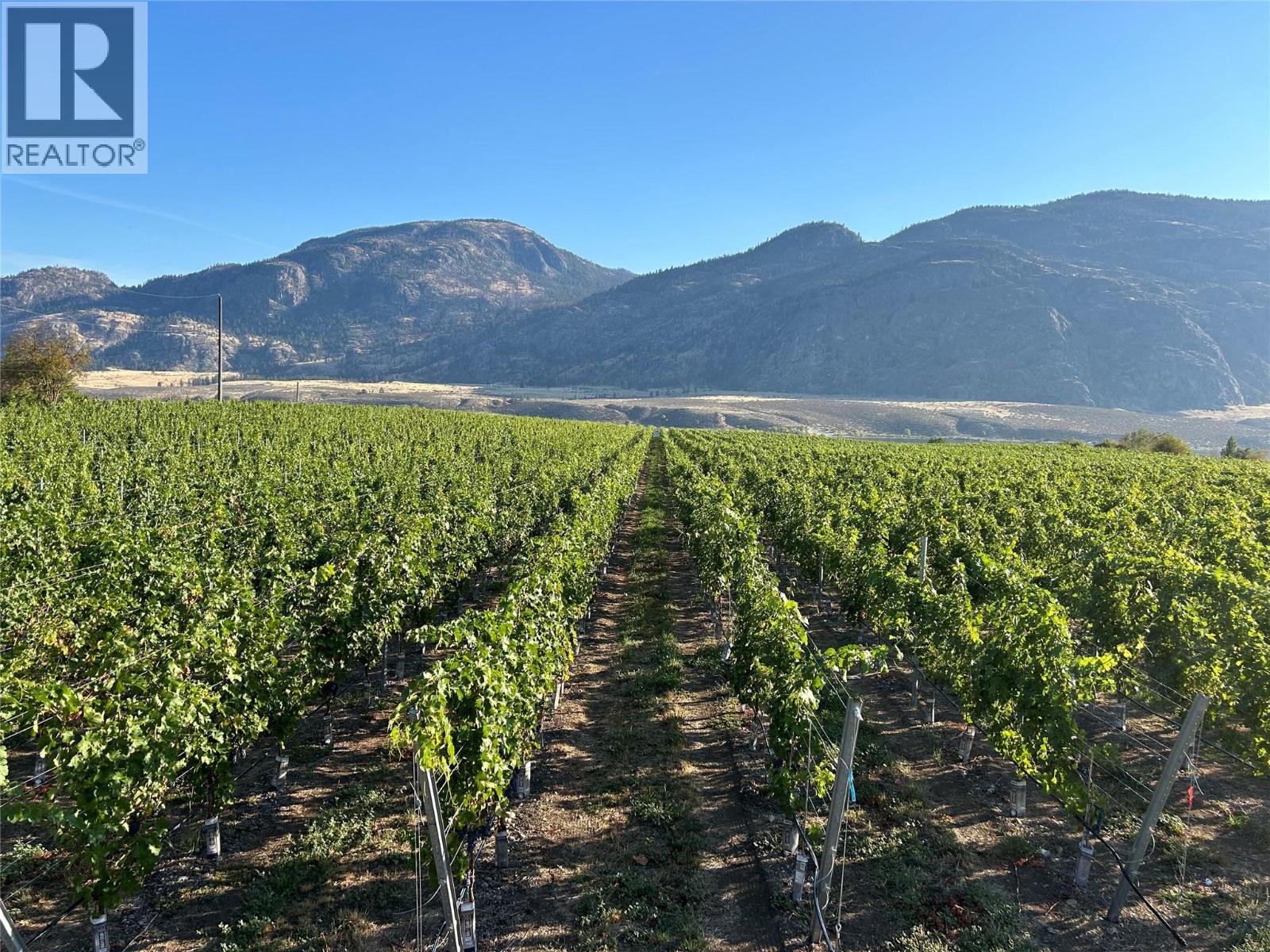 9425 87th Street, Osoyoos, British Columbia  V0H 1V0 - Photo 11 - 10384698