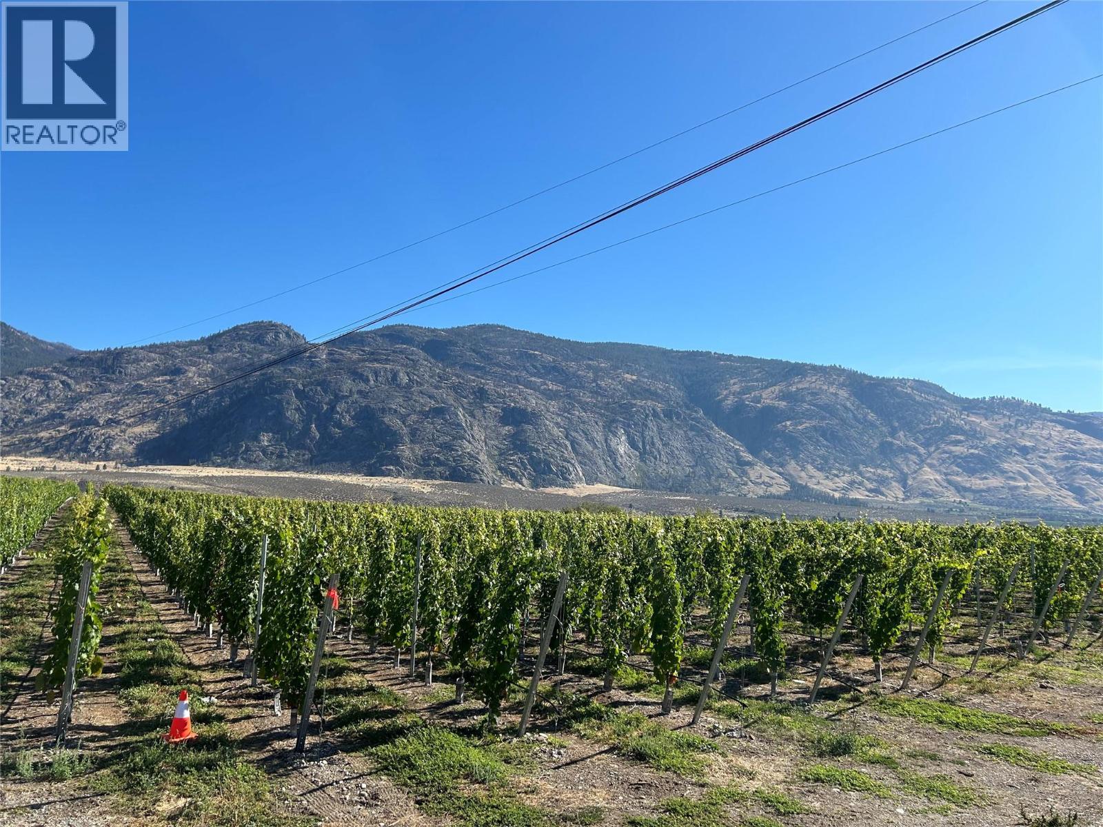 9425 87th Street, Osoyoos, British Columbia  V0H 1V0 - Photo 4 - 10384698