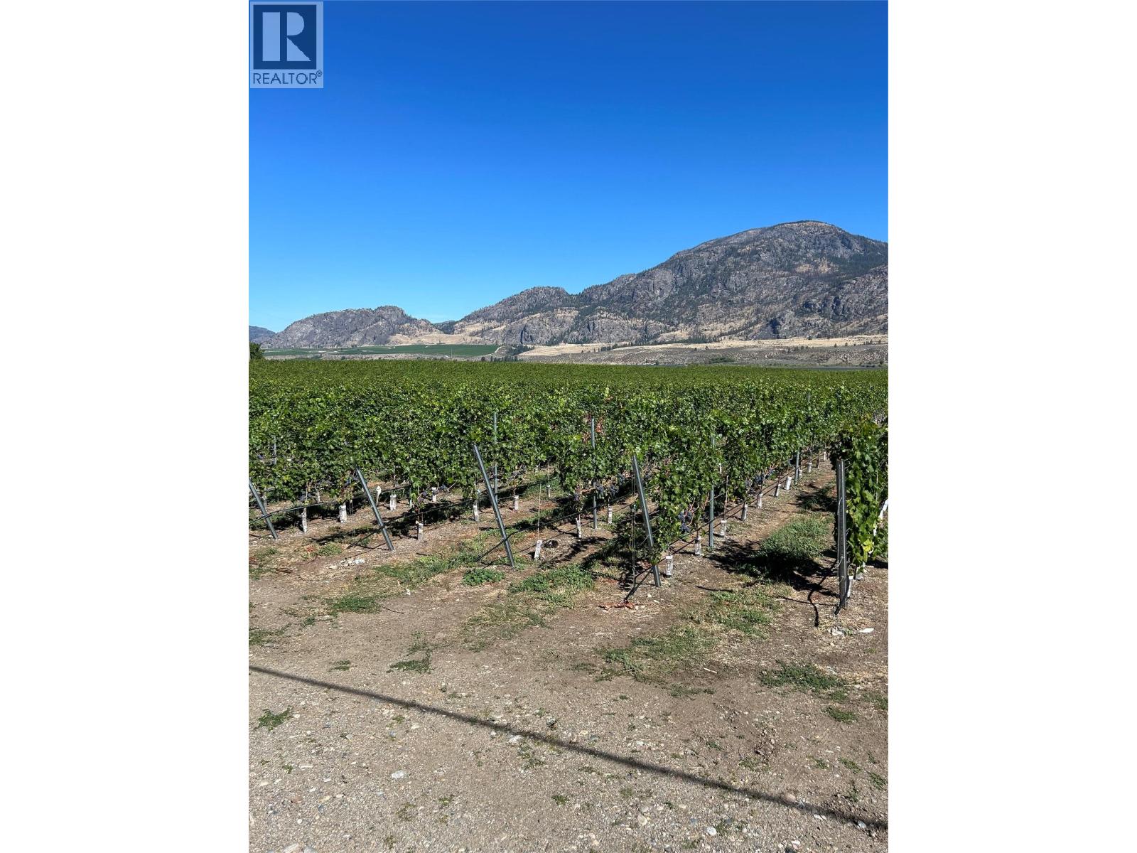 9425 87th Street, Osoyoos, British Columbia  V0H 1V0 - Photo 6 - 10384698