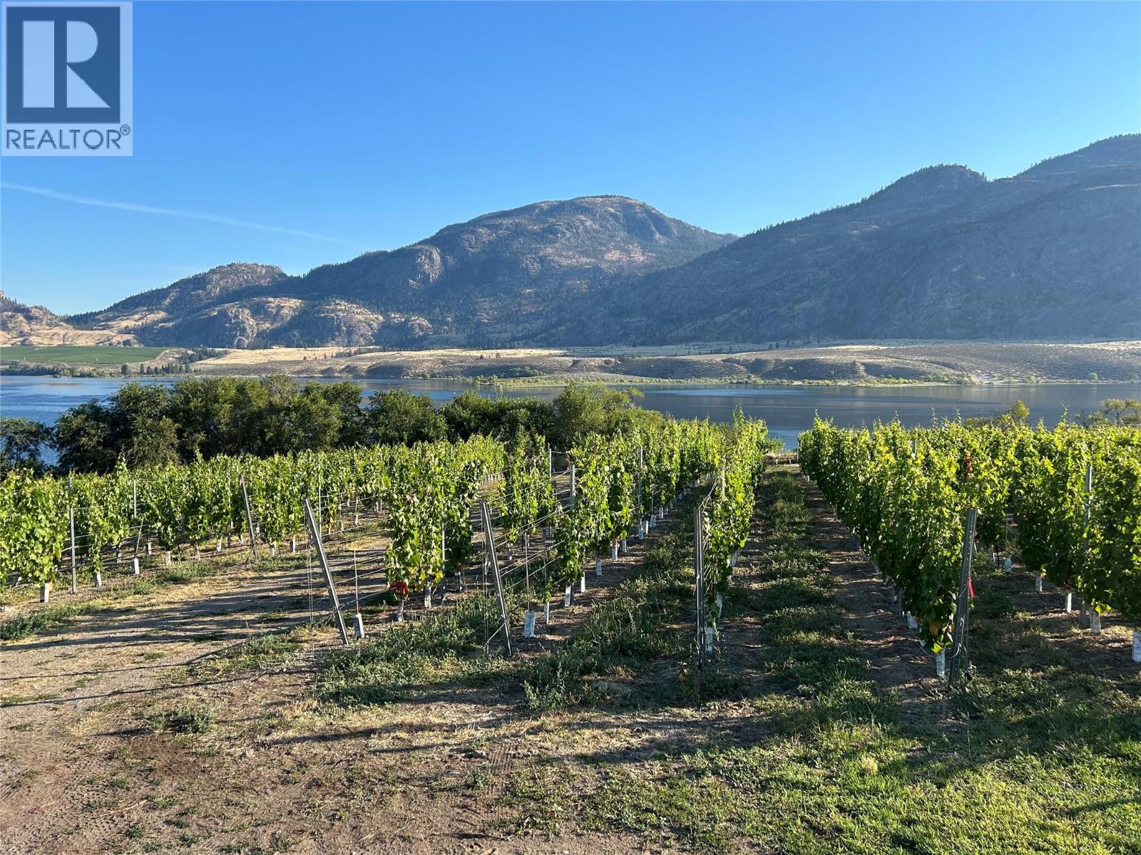 9425 87th Street, Osoyoos, British Columbia  V0H 1V0 - Photo 8 - 10384698