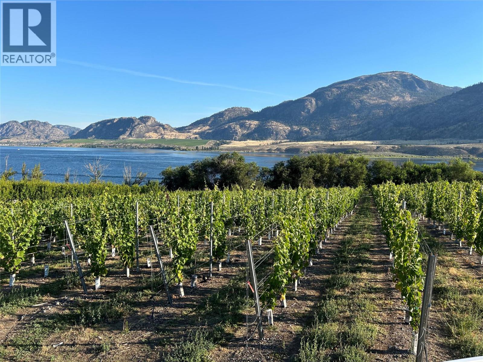 9425 87th Street, Osoyoos, British Columbia  V0H 1V0 - Photo 9 - 10384698