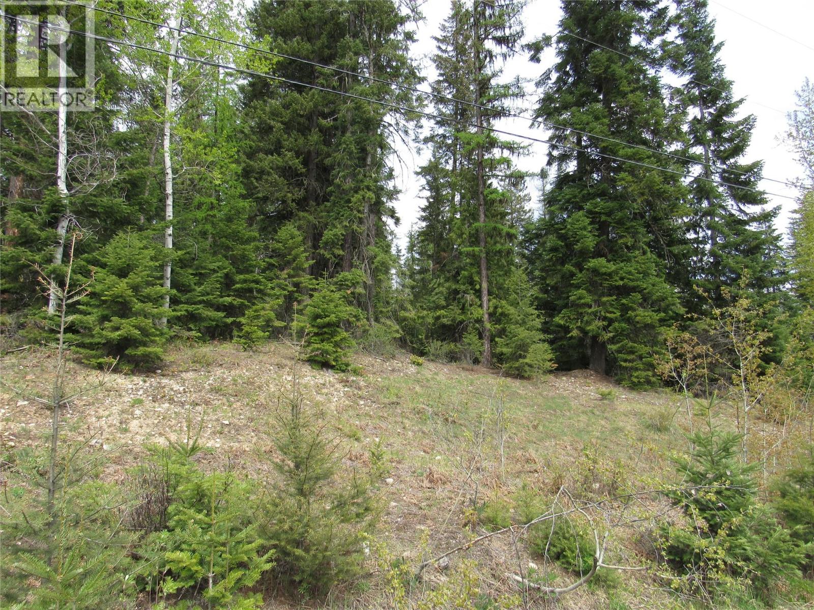 Lot 14 Nelson Rural 08182.140 Lot# 14, bonnington falls, British Columbia