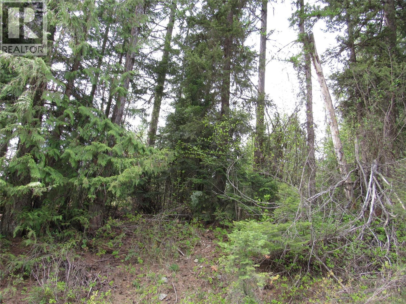 Lot 6 Thompson Road, Bonnington Falls, British Columbia  V0G 2G3 - Photo 2 - 10384856