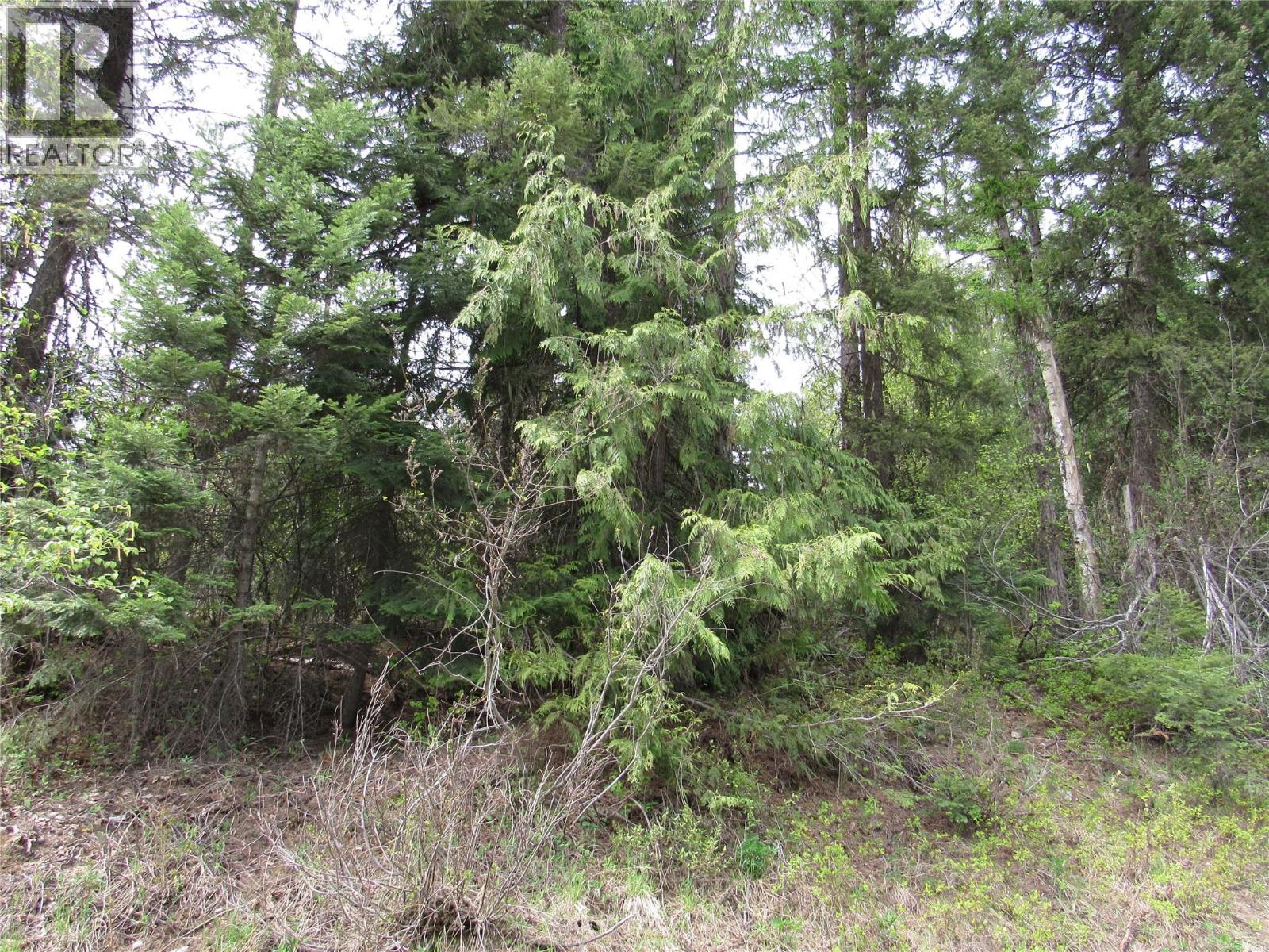 Lot 11 Nelson Rural 08182-128, bonnington, British Columbia