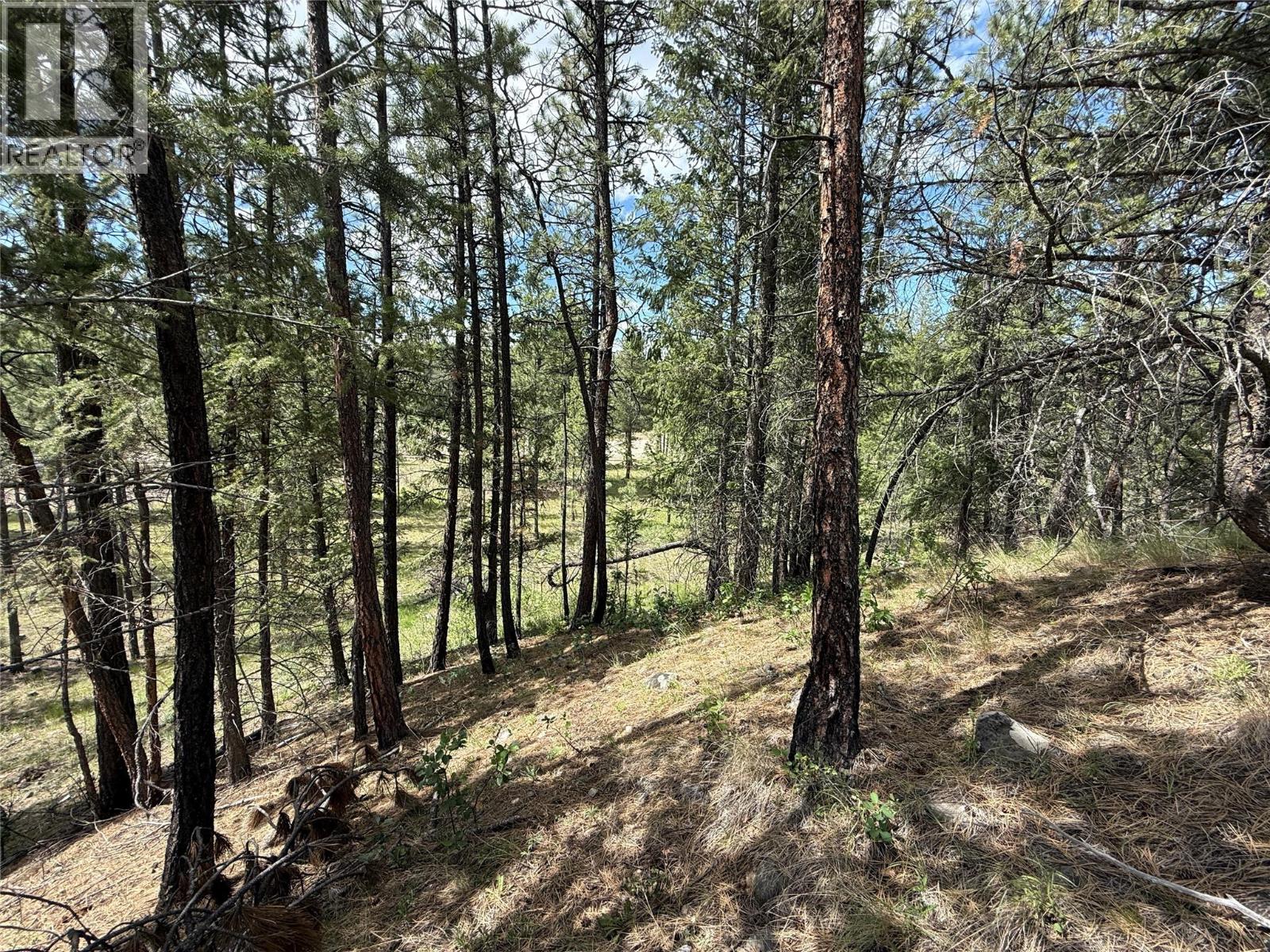 6145 Parnaby Road Unit# Lot 14 Lot# 14, Cranbrook, British Columbia  V1C 0C2 - Photo 5 - 10384915