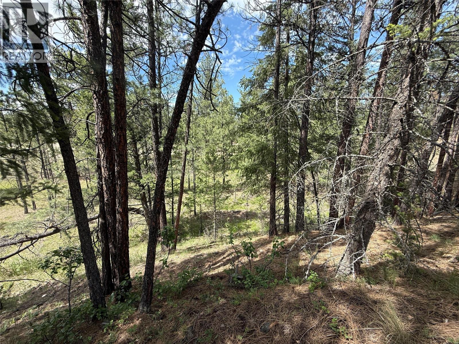 6145 Parnaby Road Unit# Lot 14 Lot# 14, Cranbrook, British Columbia  V1C 0C2 - Photo 6 - 10384915