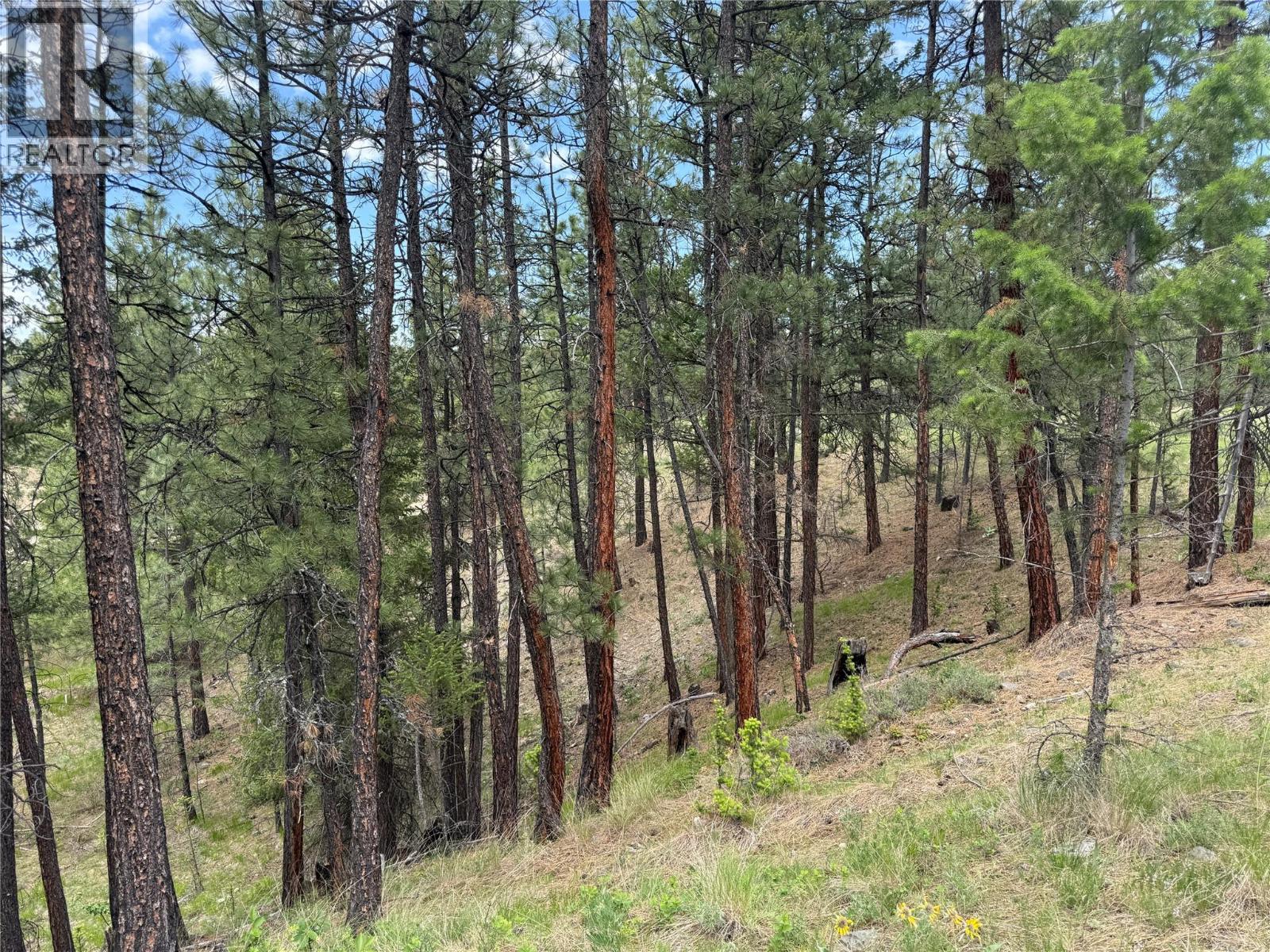 6145 Parnaby Road Unit# Lot 14 Lot# 14, Cranbrook, British Columbia  V1C 0C2 - Photo 8 - 10384915