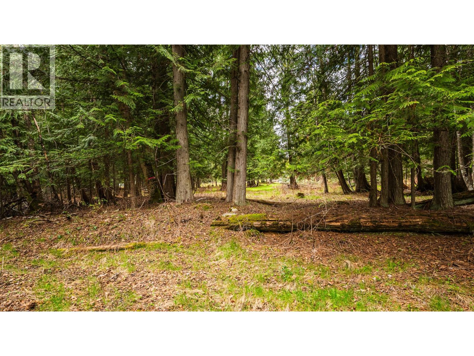 16088 3a Highway, Crawford Bay, British Columbia  V0B 1E0 - Photo 12 - 10385456