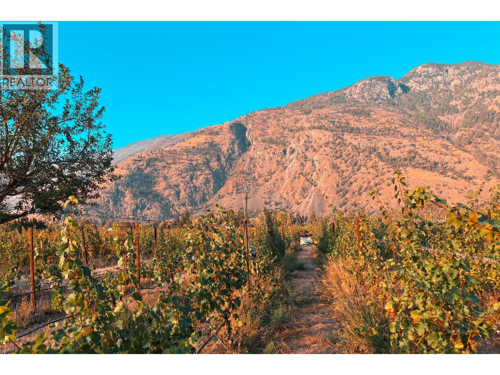 2155 Newton Road, cawston, British Columbia