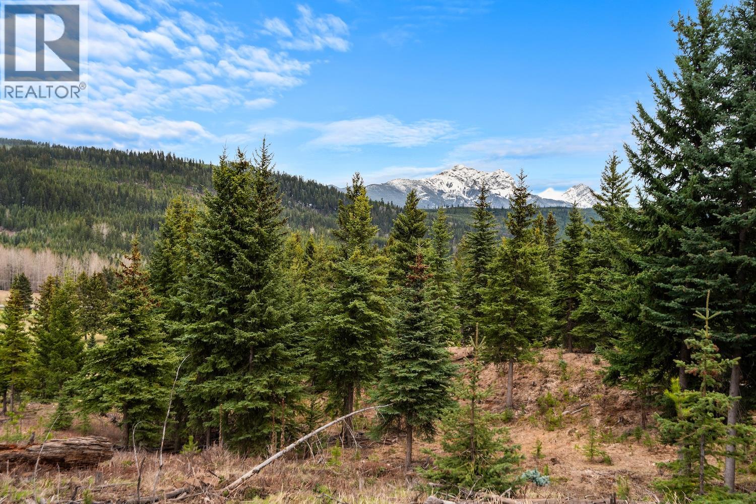 925 Alpine Way, Elkford, British Columbia  V0B 1H0 - Photo 24 - 10384932