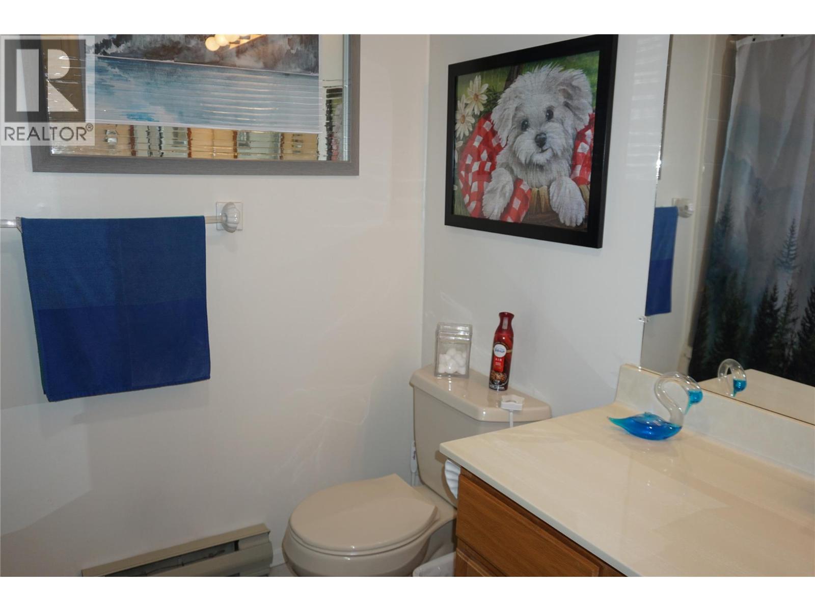 5054 Riverview Road Unit# 17, Fairmont Hot Springs, British Columbia  V0B 1L1 - Photo 23 - 10385365