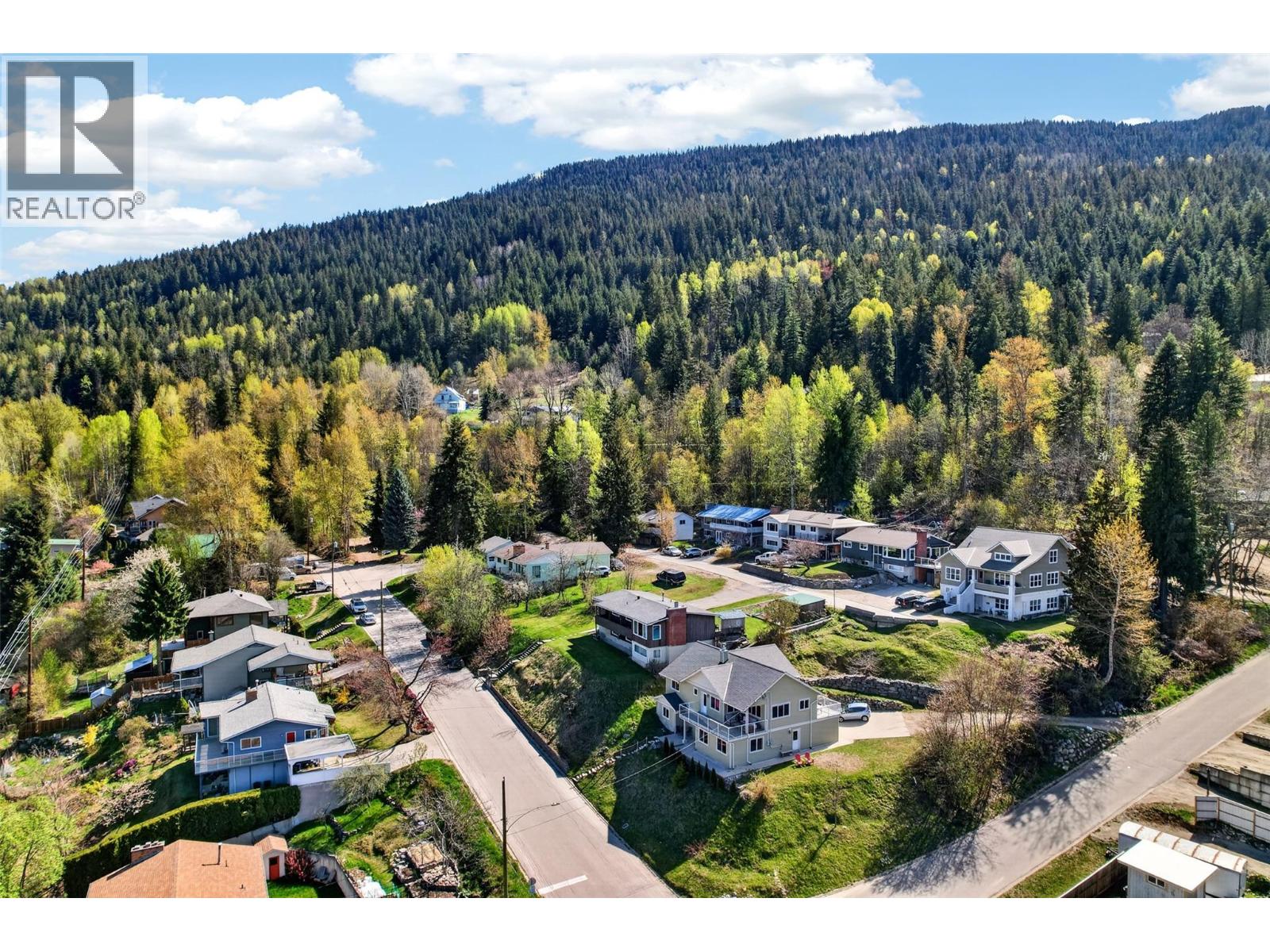 702 Richards Street, Nelson, British Columbia  V1L 5K6 - Photo 69 - 10385251