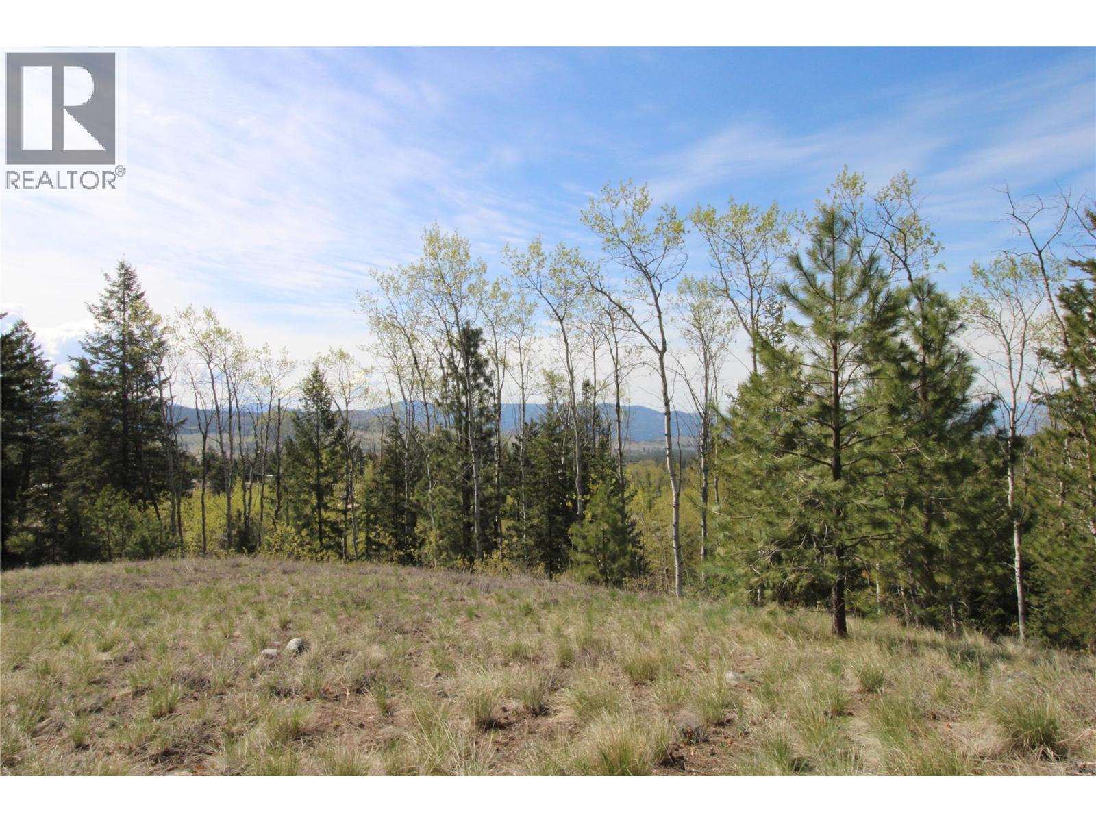 6725 Sidley Mountain Road, Bridesville, British Columbia  V0H 1B0 - Photo 2 - 10385500