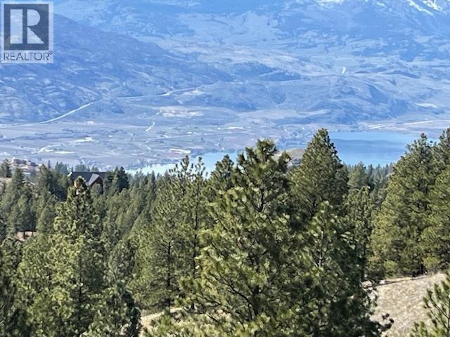 410 Sasquatch Trail Lot# 26, Osoyoos, British Columbia  V0H 1V6 - Photo 9 - 10385296
