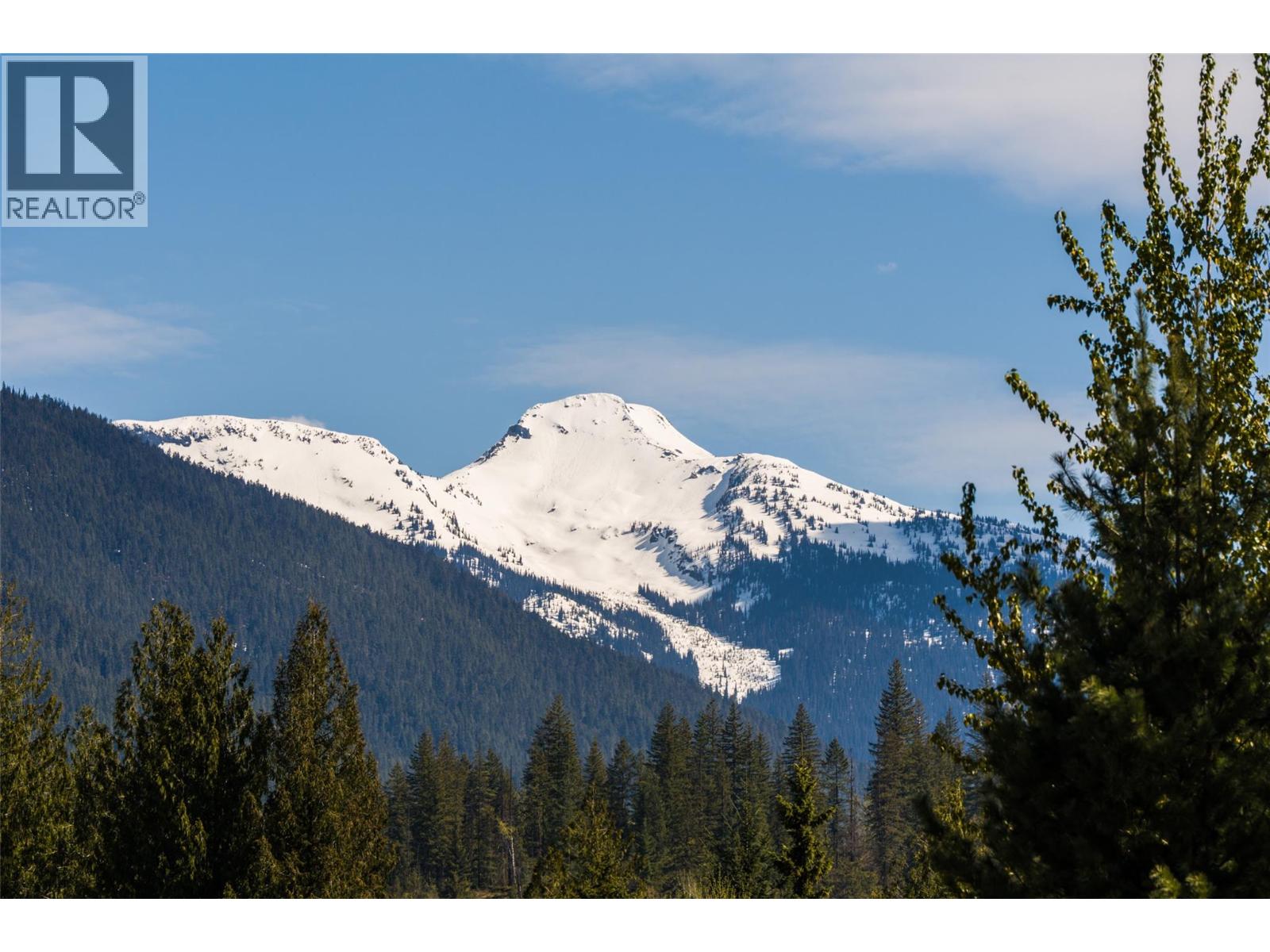 1702 Coursier Avenue Unit# 1104, Revelstoke, British Columbia  V0E 2S1 - Photo 28 - 10385006