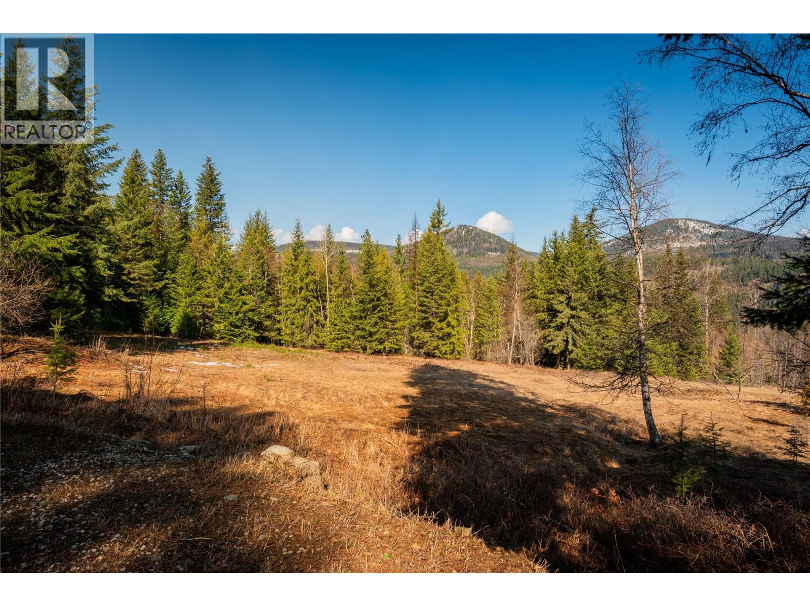 4020 Kays Road, Nelson, British Columbia  V1L 6X6 - Photo 10 - 10384897