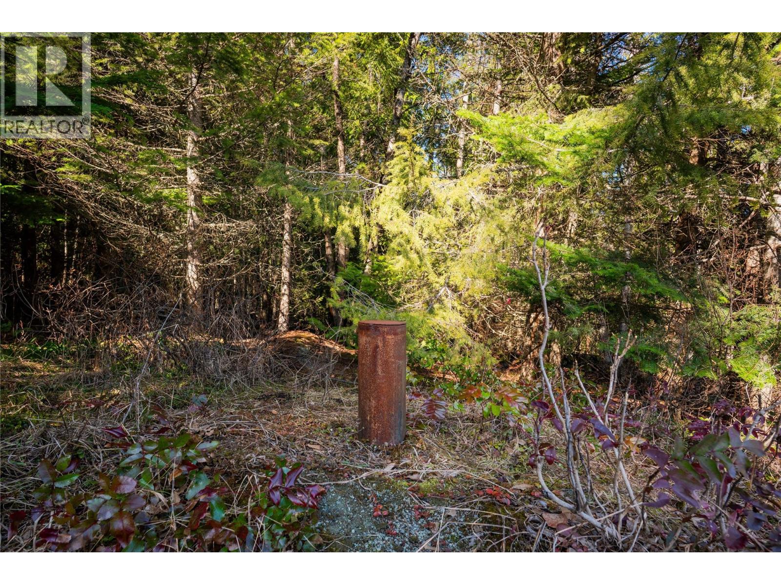 4020 Kays Road, Nelson, British Columbia  V1L 6X6 - Photo 12 - 10384897