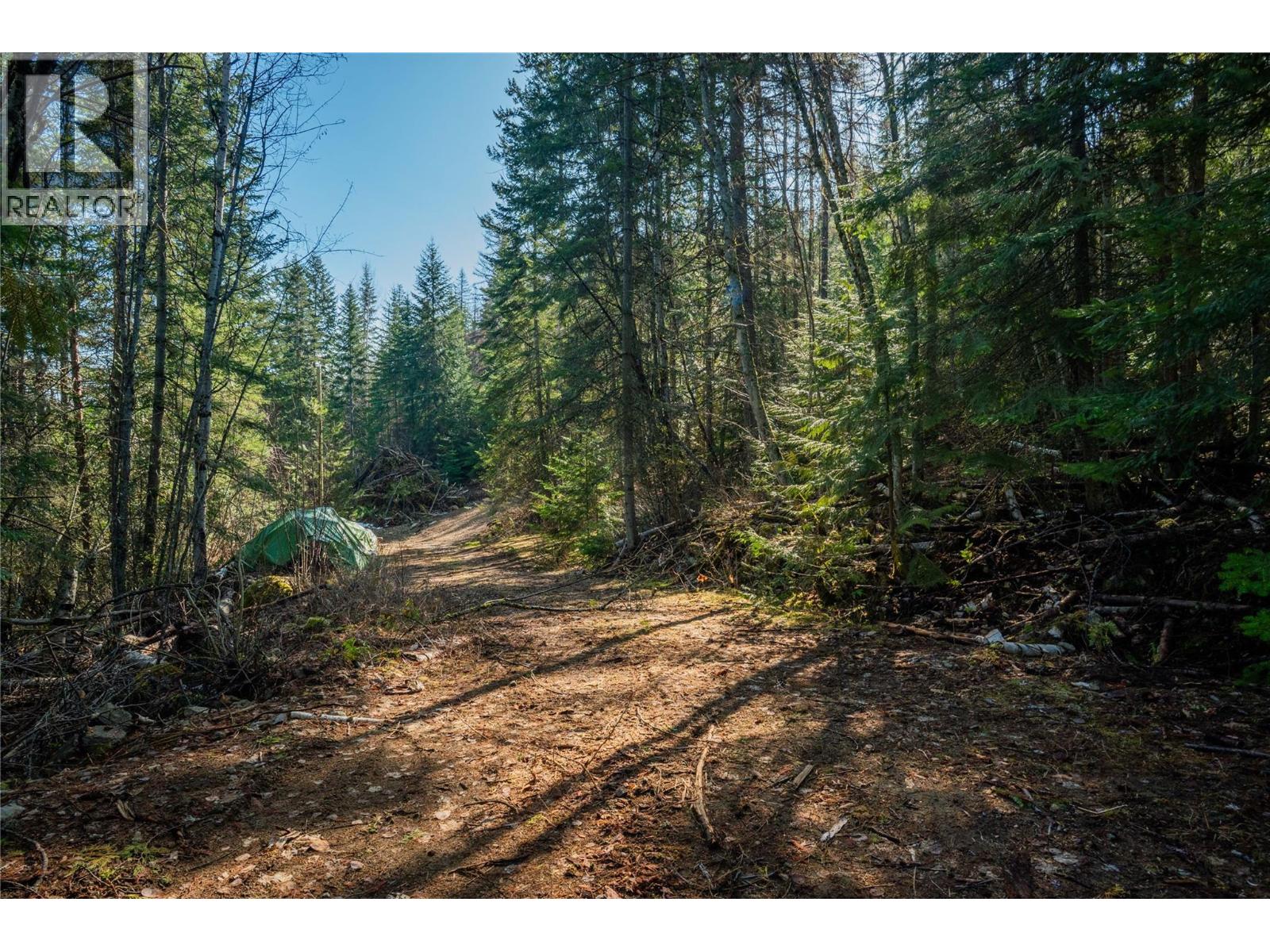 4020 Kays Road, Nelson, British Columbia  V1L 6X6 - Photo 13 - 10384897