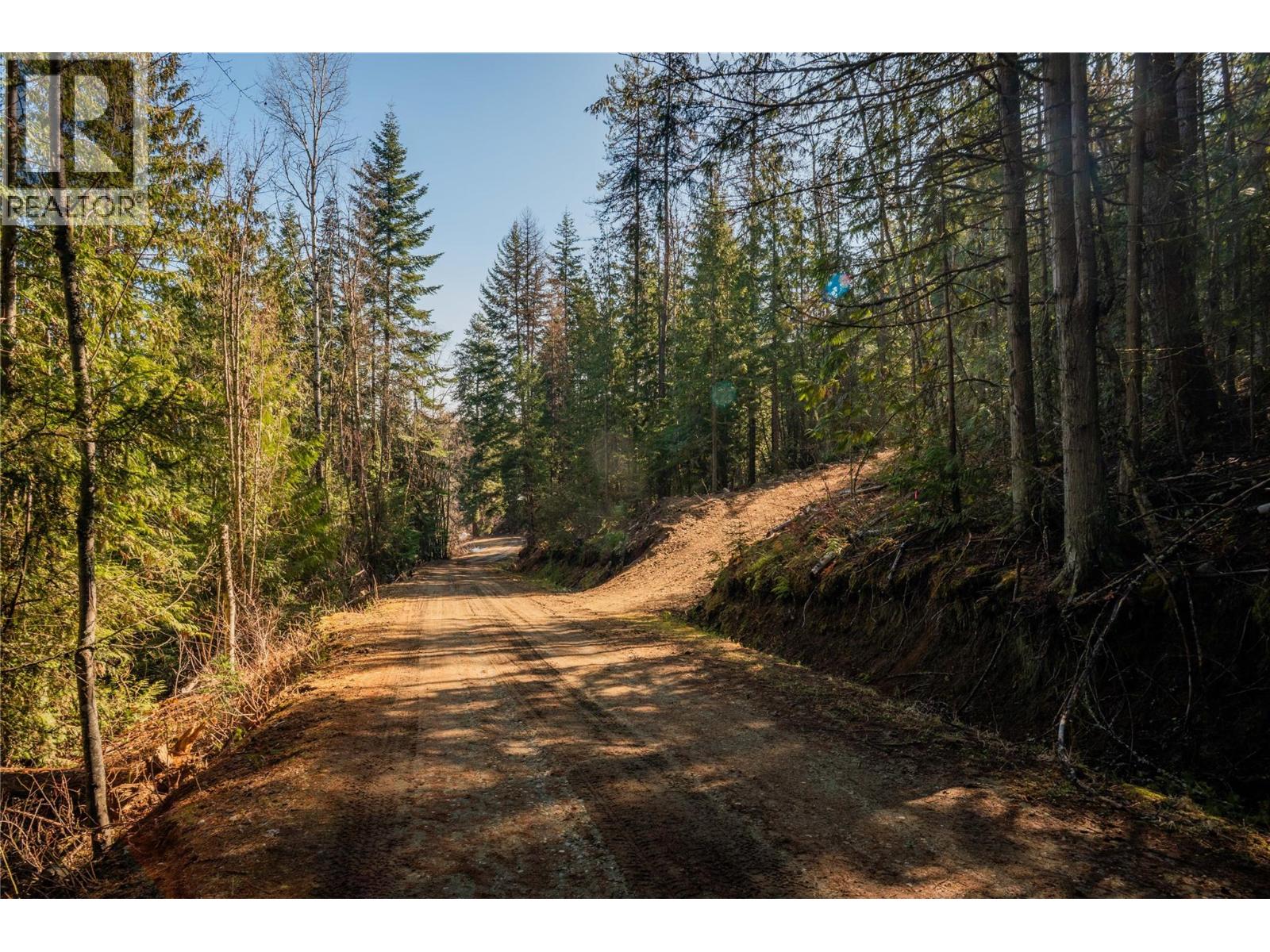 4020 Kays Road, Nelson, British Columbia  V1L 6X6 - Photo 14 - 10384897