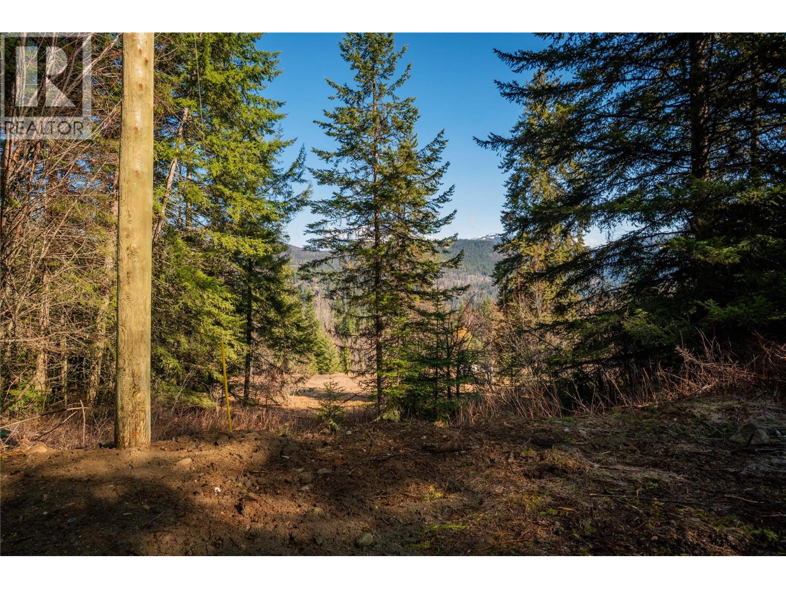 4020 Kays Road, Nelson, British Columbia  V1L 6X6 - Photo 16 - 10384897