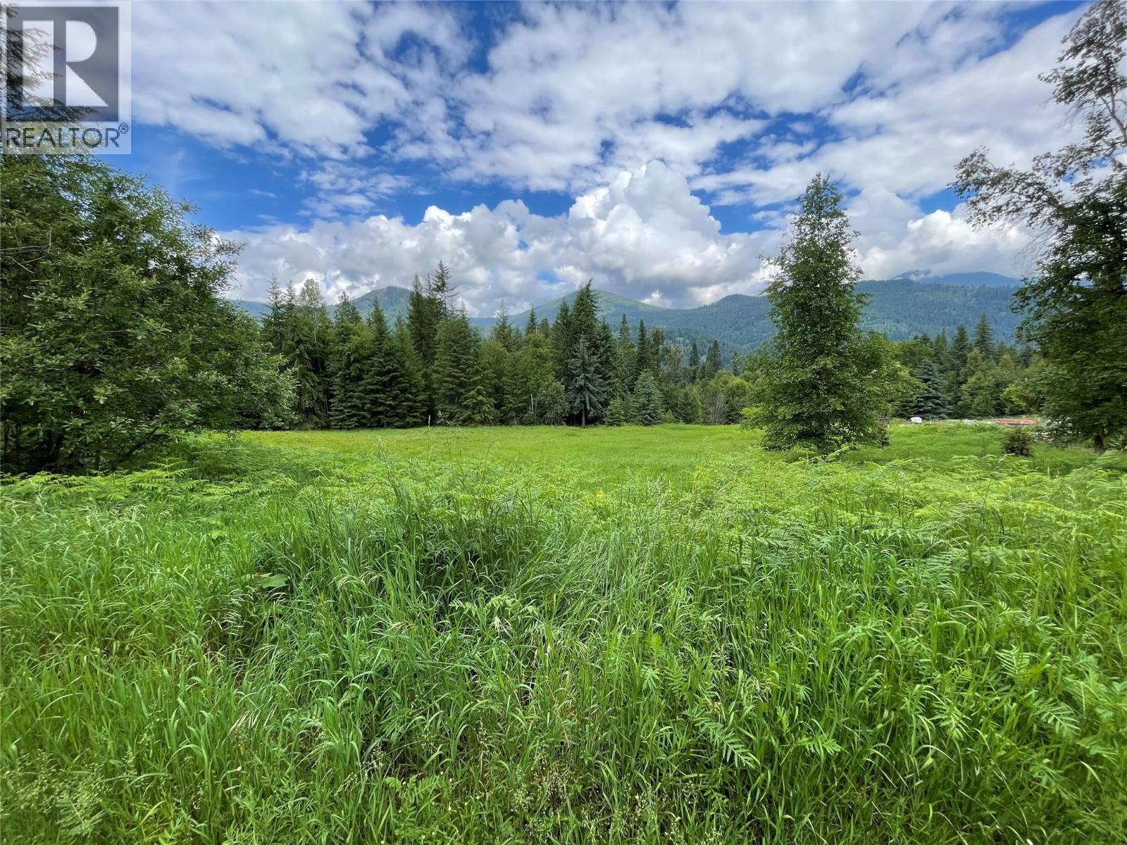 4020 Kays Road, Nelson, British Columbia  V1L 6X6 - Photo 2 - 10384897