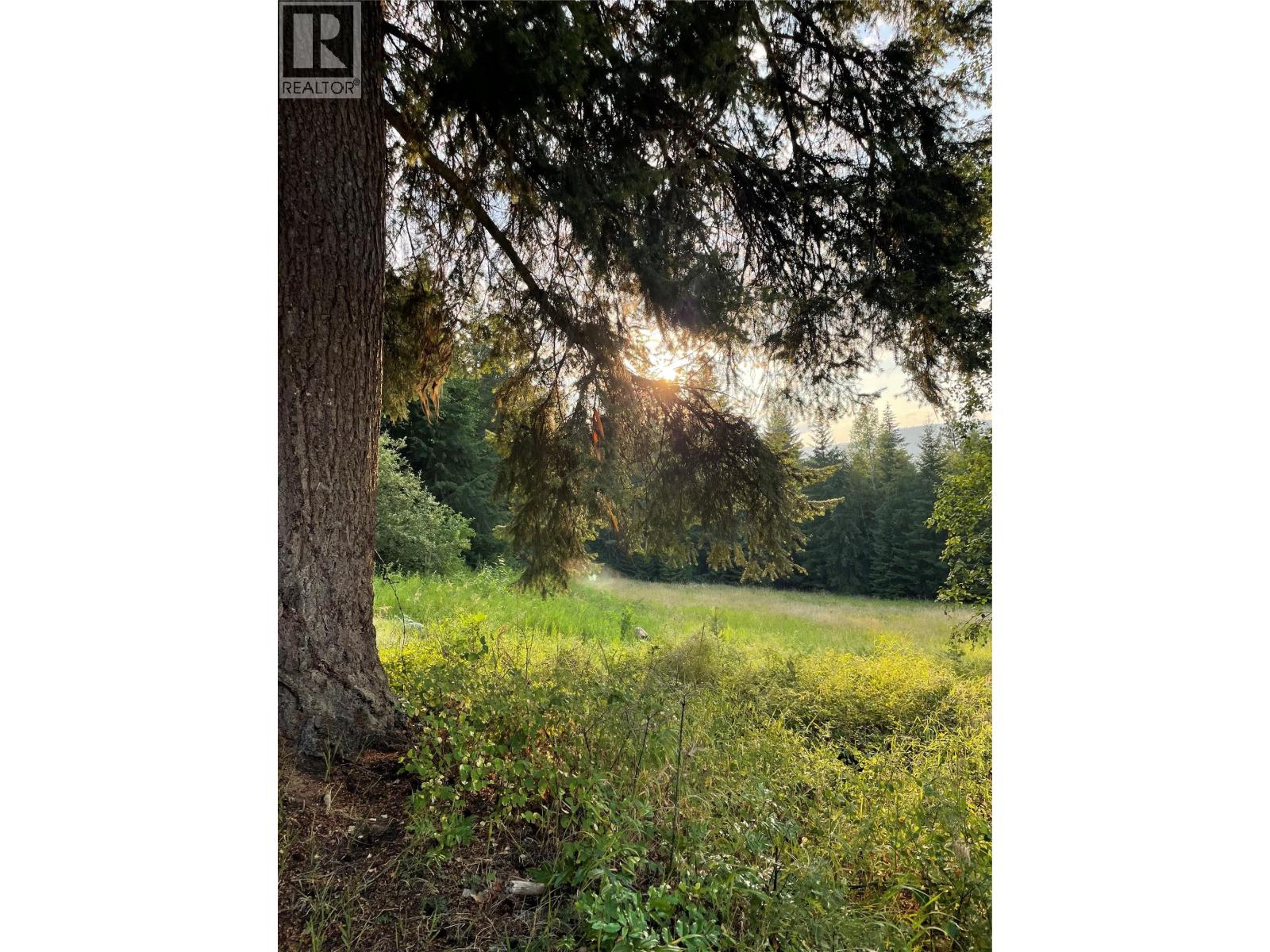4020 Kays Road, Nelson, British Columbia  V1L 6X6 - Photo 23 - 10384897
