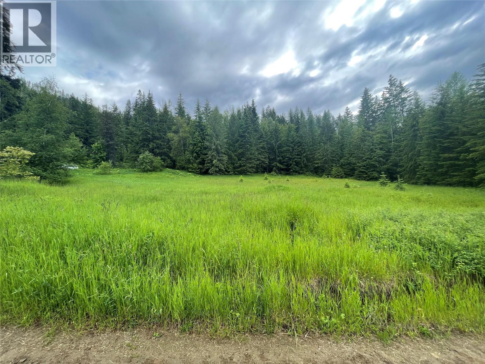 4020 Kays Road, Nelson, British Columbia  V1L 6X6 - Photo 3 - 10384897