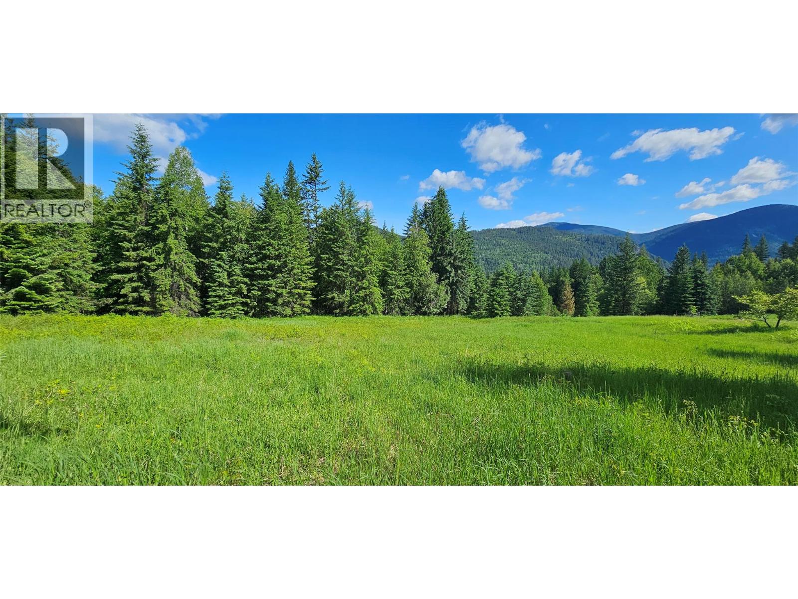 4020 Kays Road, Nelson, British Columbia  V1L 6X6 - Photo 4 - 10384897