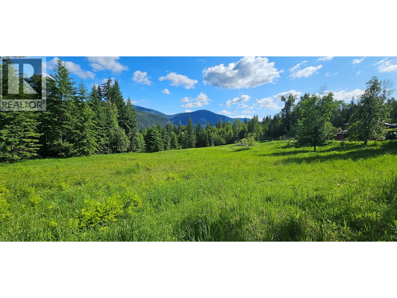 4020 Kays Road, Nelson, British Columbia  V1L 6X6 - Photo 5 - 10384897