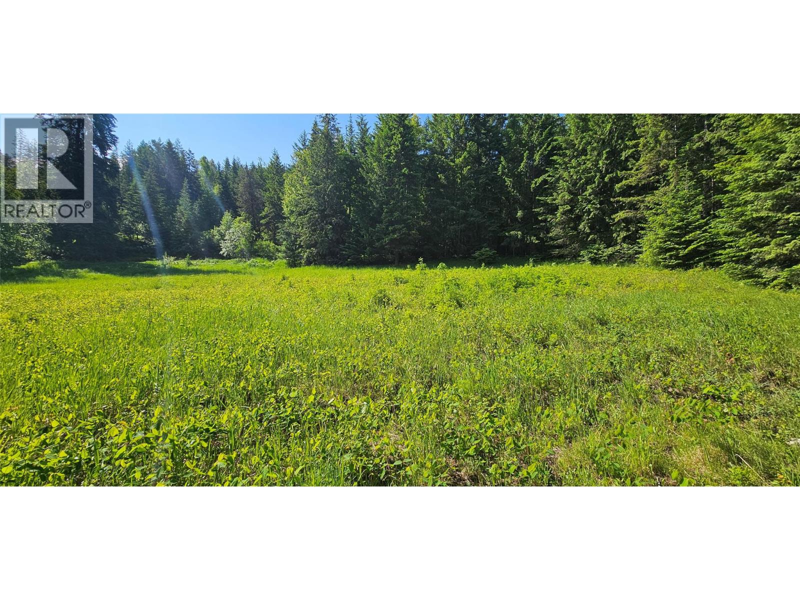 4020 Kays Road, Nelson, British Columbia  V1L 6X6 - Photo 6 - 10384897