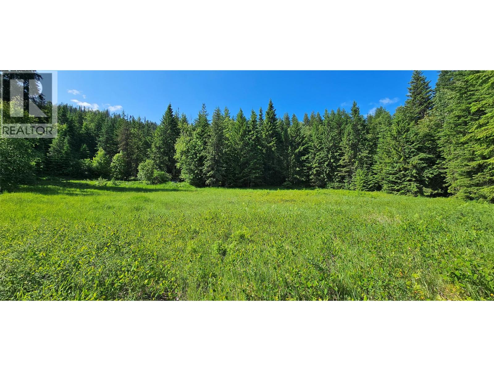 4020 Kays Road, Nelson, British Columbia  V1L 6X6 - Photo 7 - 10384897