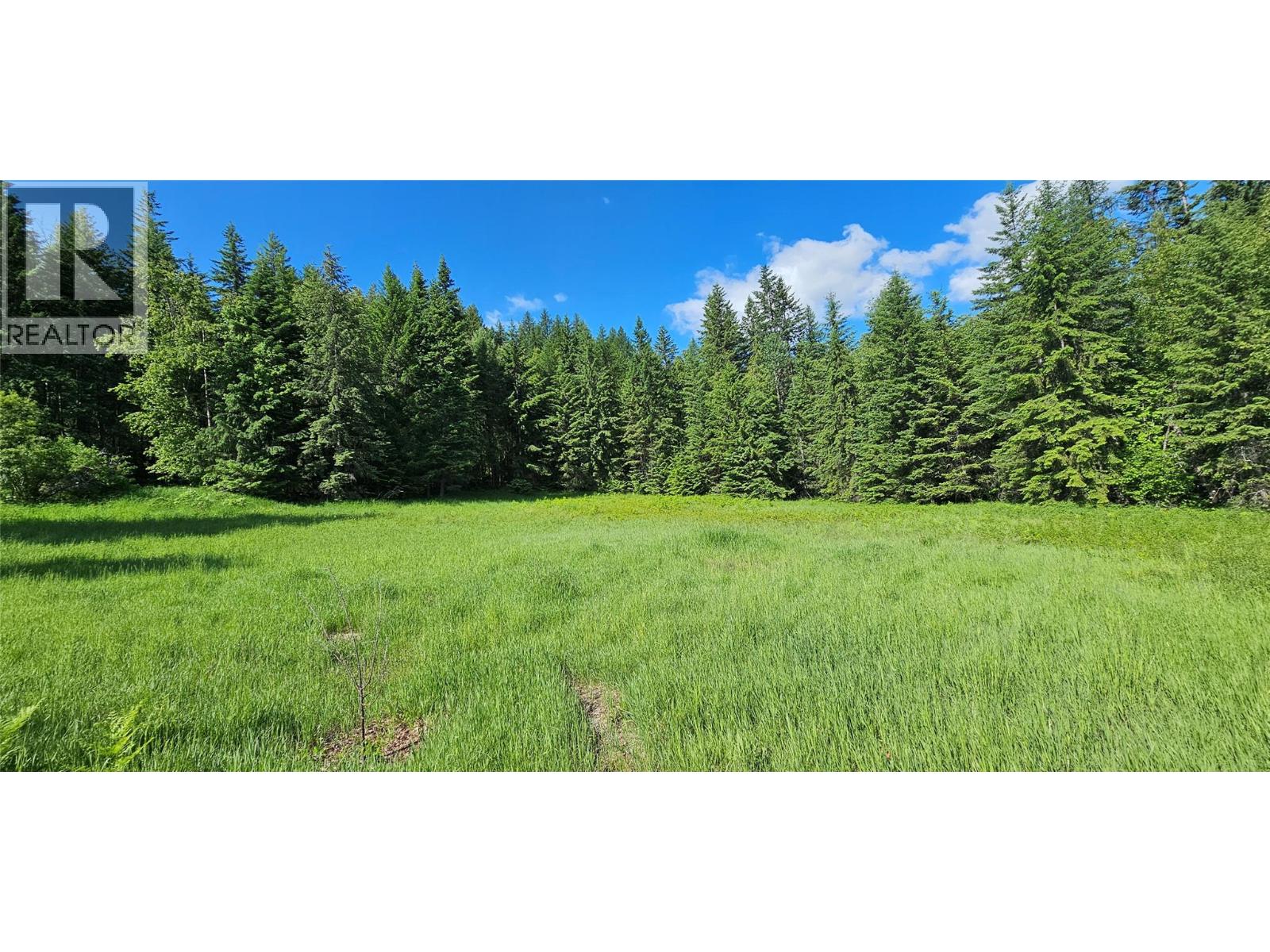 4020 Kays Road, Nelson, British Columbia  V1L 6X6 - Photo 8 - 10384897