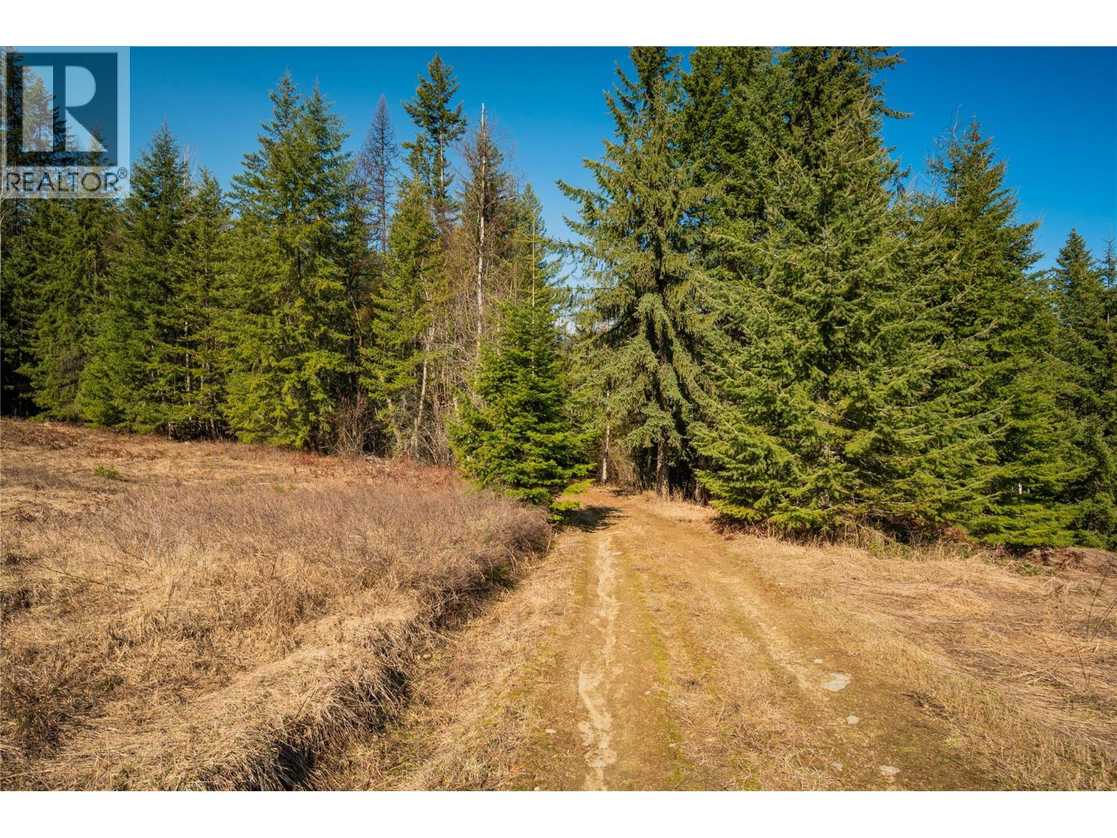 4020 Kays Road, Nelson, British Columbia  V1L 6X6 - Photo 9 - 10384897